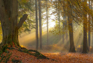 Walks Northamptonshire