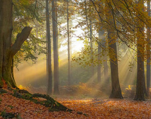 Walks Northamptonshire